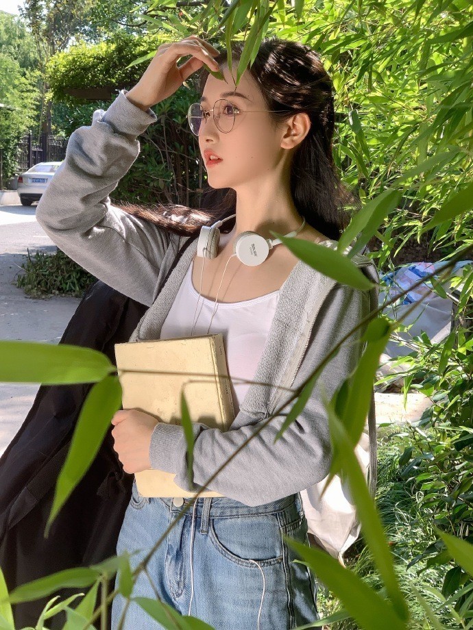雍正王朝 封面